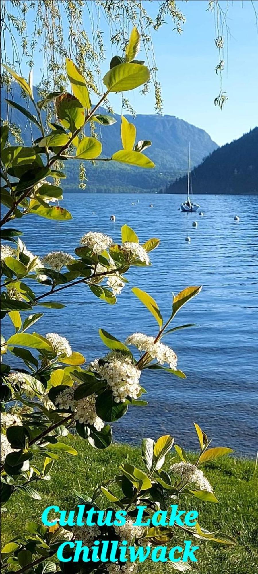 Private 2 Bedrooms Suite Near Hwy 1, Cultus Lake, Heritage Park, Fishing, Coliseum 奇利瓦克 客房 照片