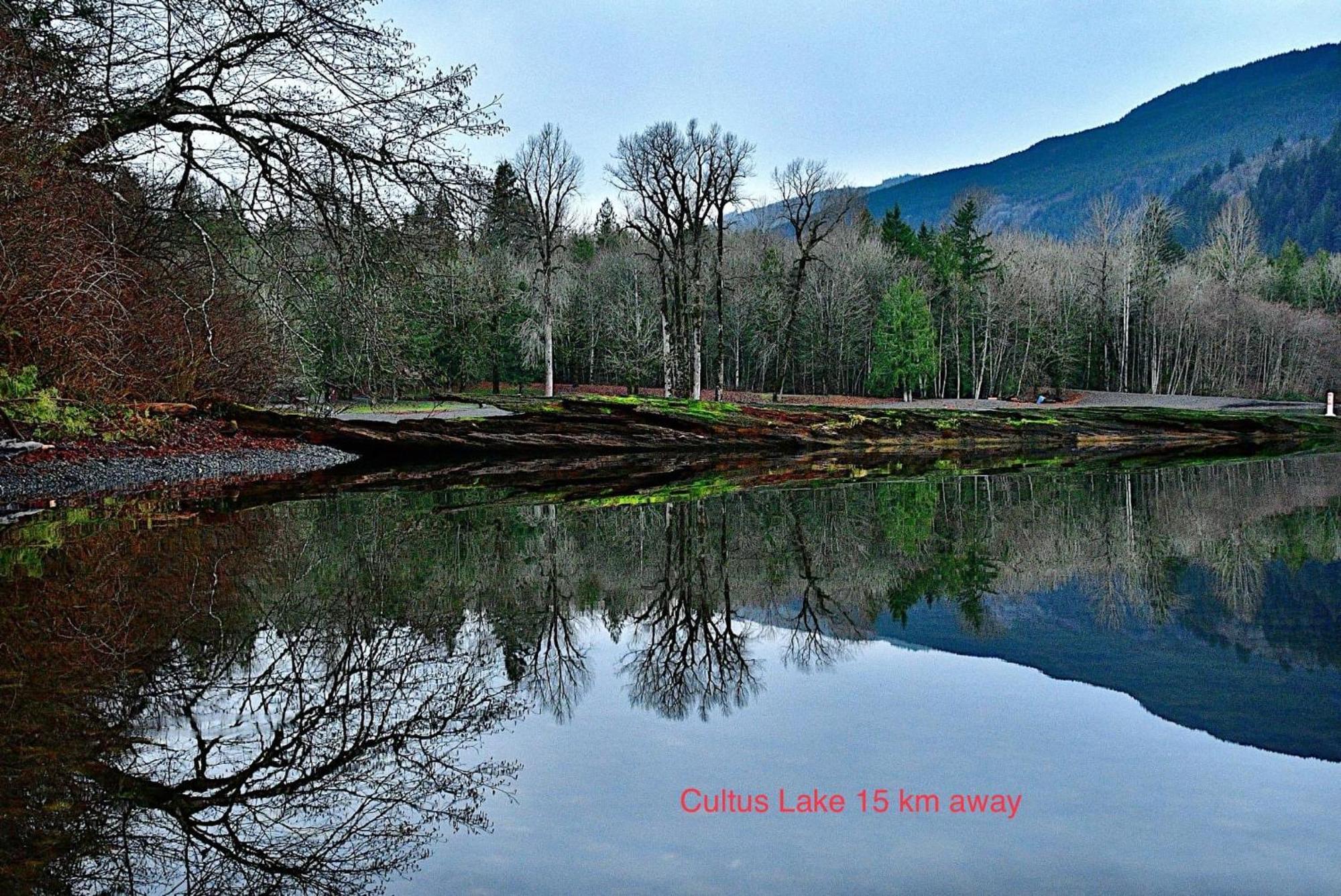 Private 2 Bedrooms Suite Near Hwy 1, Cultus Lake, Heritage Park, Fishing, Coliseum 奇利瓦克 外观 照片